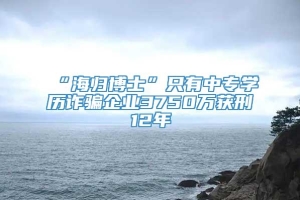 “海归博士”只有中专学历诈骗企业3750万获刑12年