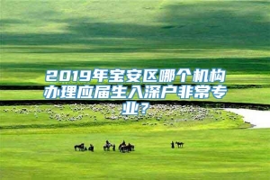 2019年宝安区哪个机构办理应届生入深户非常专业？