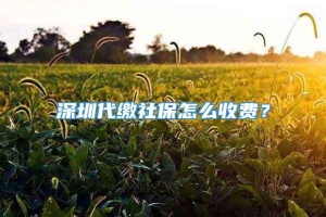 深圳代缴社保怎么收费？