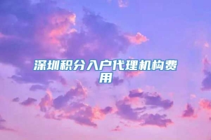 深圳积分入户代理机构费用