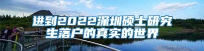 进到2022深圳硕士研究生落户的真实的世界