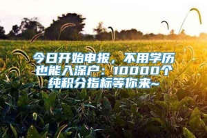 今日开始申报，不用学历也能入深户：10000个纯积分指标等你来~