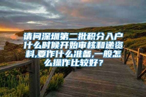 请问深圳第二批积分入户什么时候开始审核和递资料,要作什么准备,一般怎么操作比较好？