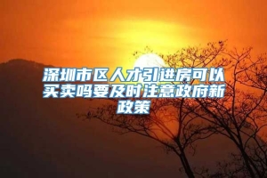 深圳市区人才引进房可以买卖吗要及时注意政府新政策