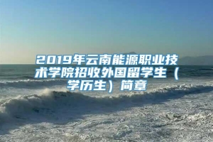 2019年云南能源职业技术学院招收外国留学生（学历生）简章