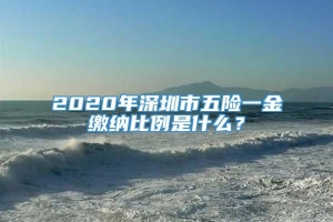 2020年深圳市五险一金缴纳比例是什么？