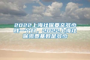 2022上海社保要交多少钱一个月，2022上海社保缴费基数是多少