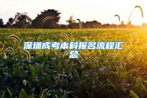 深圳成考本科报名流程汇总