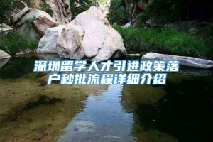 深圳留学人才引进政策落户秒批流程详细介绍