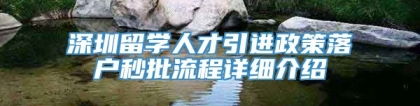 深圳留学人才引进政策落户秒批流程详细介绍