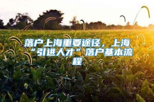 落户上海重要途径，上海“引进人才”落户基本流程