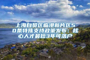 上海自贸区临港新片区50条特殊支持政策发布：核心人才最短3年可落户