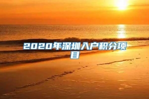 2020年深圳入户积分项目