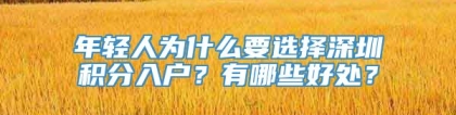 年轻人为什么要选择深圳积分入户？有哪些好处？