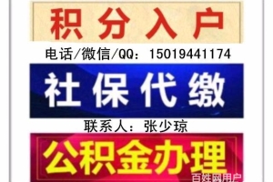 2022年深圳市招调工和积分入户