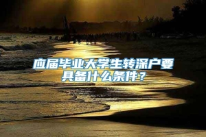 应届毕业大学生转深户要具备什么条件？