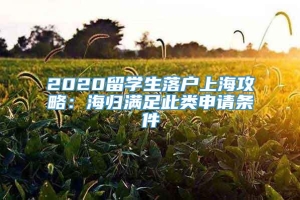 2020留学生落户上海攻略：海归满足此类申请条件