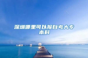 深圳哪里可以报自考大专本科