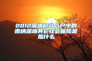 2012深圳积分入户中的缴纳深圳其它社会保险是指什么