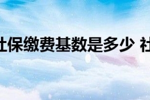 2022上海社保缴费基数是多少 社保基数缴纳标准一览