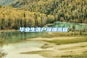 毕业生落户深圳流程