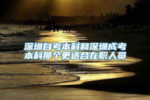 深圳自考本科和深圳成考本科那个更适合在职人员