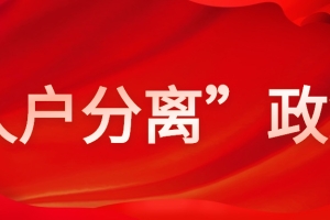 2020最新上海市各区幼升小“人户分离”政策问题解读！（上篇）