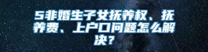 5非婚生子女抚养权、抚养费、上户口问题怎么解决？