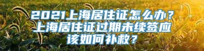 2021上海居住证怎么办？上海居住证过期未续签应该如何补救？