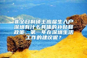 非全日制硕士应届生入户深圳有什么具体的补贴和政策，第一年在深圳生活工作的建议呢？