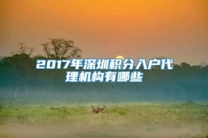 2017年深圳积分入户代理机构有哪些