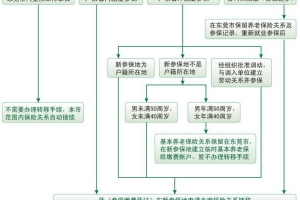 父母随迁深户未参加社保退休金