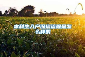 本科生入户深圳流程是怎么样的