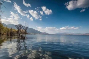 5月27日18时至30日24时，除广州深圳佛山外 广东暂停居住证登记业务办理