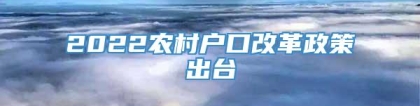 2022农村户口改革政策出台