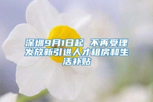 深圳9月1日起 不再受理发放新引进人才租房和生活补贴