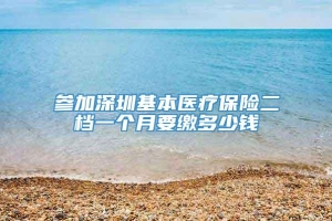 参加深圳基本医疗保险二档一个月要缴多少钱