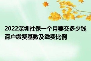 2022深圳社保一个月要交多少钱深户缴费基数及缴费比例