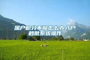 深户积分不够怎么办入户秒批系统操作