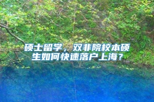 硕士留学，双非院校本硕生如何快速落户上海？