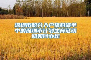 深圳市积分入户资料清单中的深圳市计划生育证明如如何办理