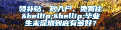 领补贴、秒入户、免费住……毕业生来深圳到底有多好？