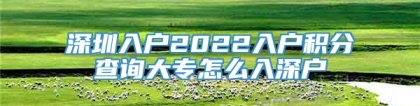 深圳入户2022入户积分查询大专怎么入深户