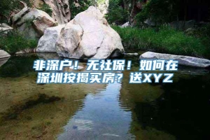 非深户！无社保！如何在深圳按揭买房？送XYZ