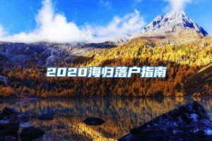 2020海归落户指南