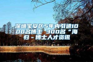 深圳宝安区5年内引进1000名博士 300名“海归－博士人才资讯