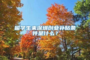 留学生来深圳创业补贴条件是什么？