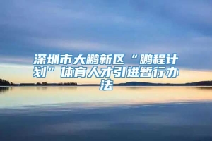 深圳市大鹏新区“鹏程计划”体育人才引进暂行办法