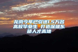 龙岗今年已引进1.5万名高校毕业生 打造深圳东部人才高地