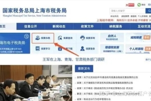 【收藏】上海市个税税单查询攻略（事关落户和积分）